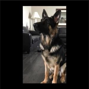 Meet your Posher, Ingrid